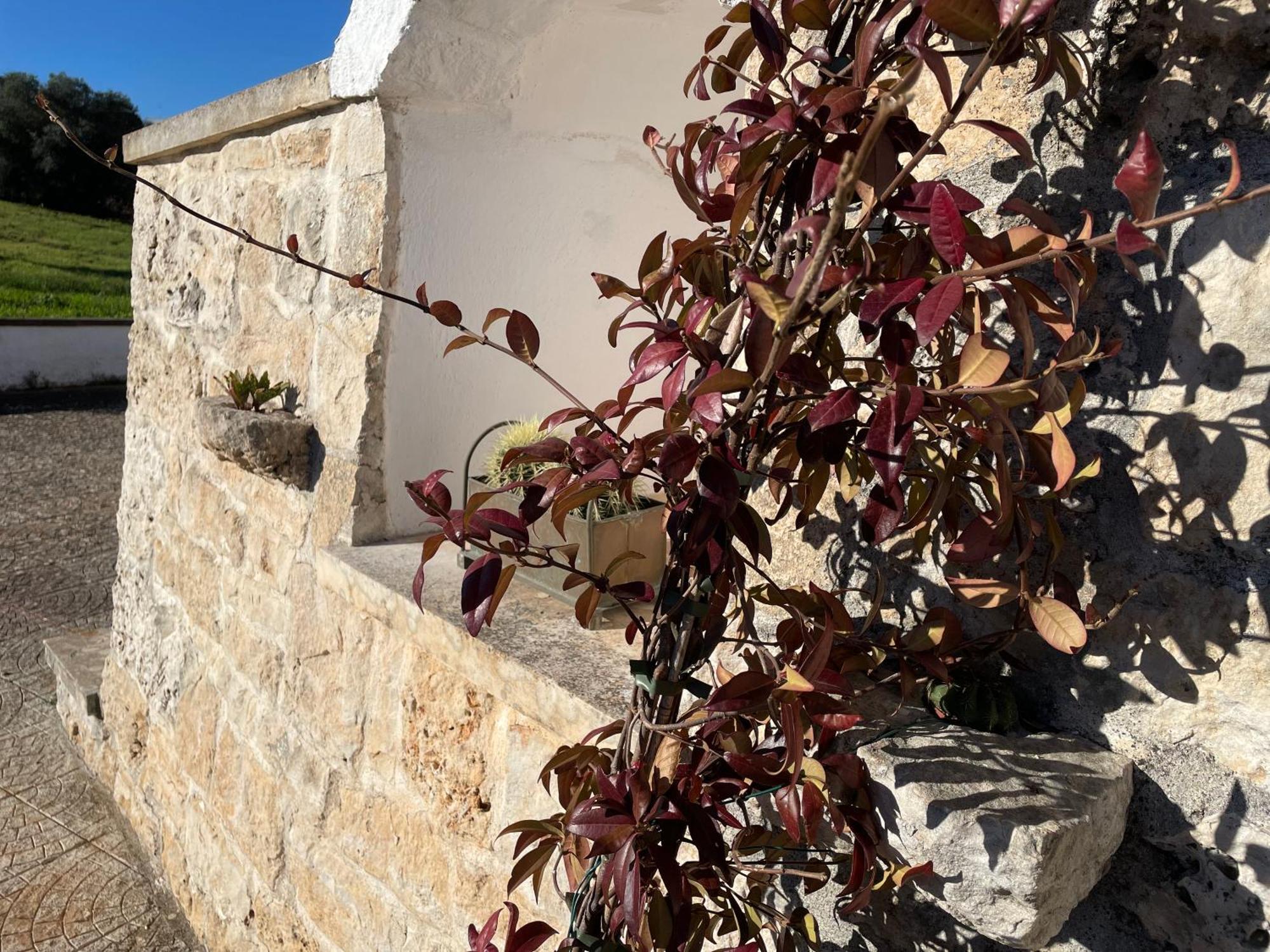 Вилла Trulli Del Sole Мартина-Франка Экстерьер фото