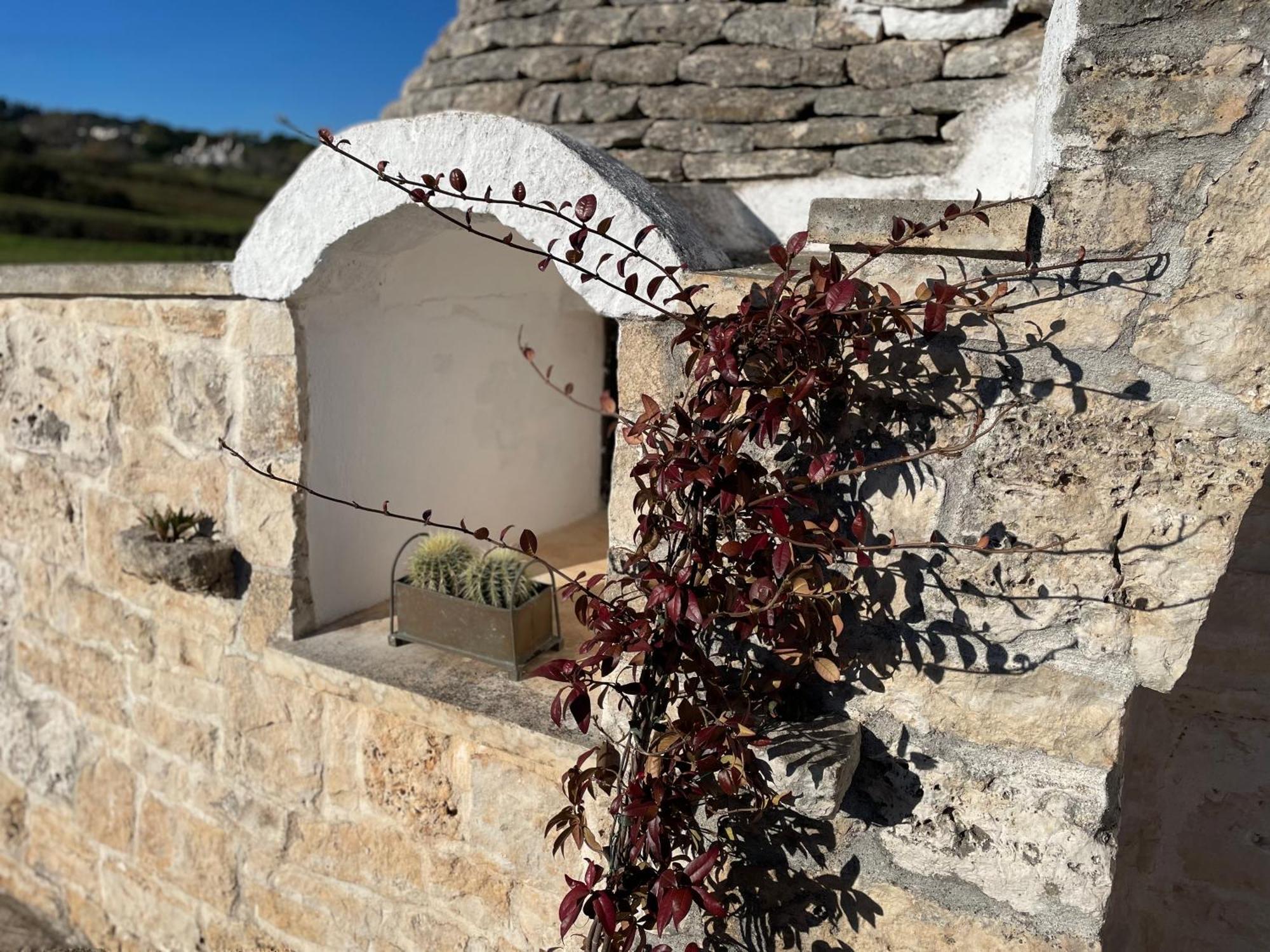 Вилла Trulli Del Sole Мартина-Франка Экстерьер фото